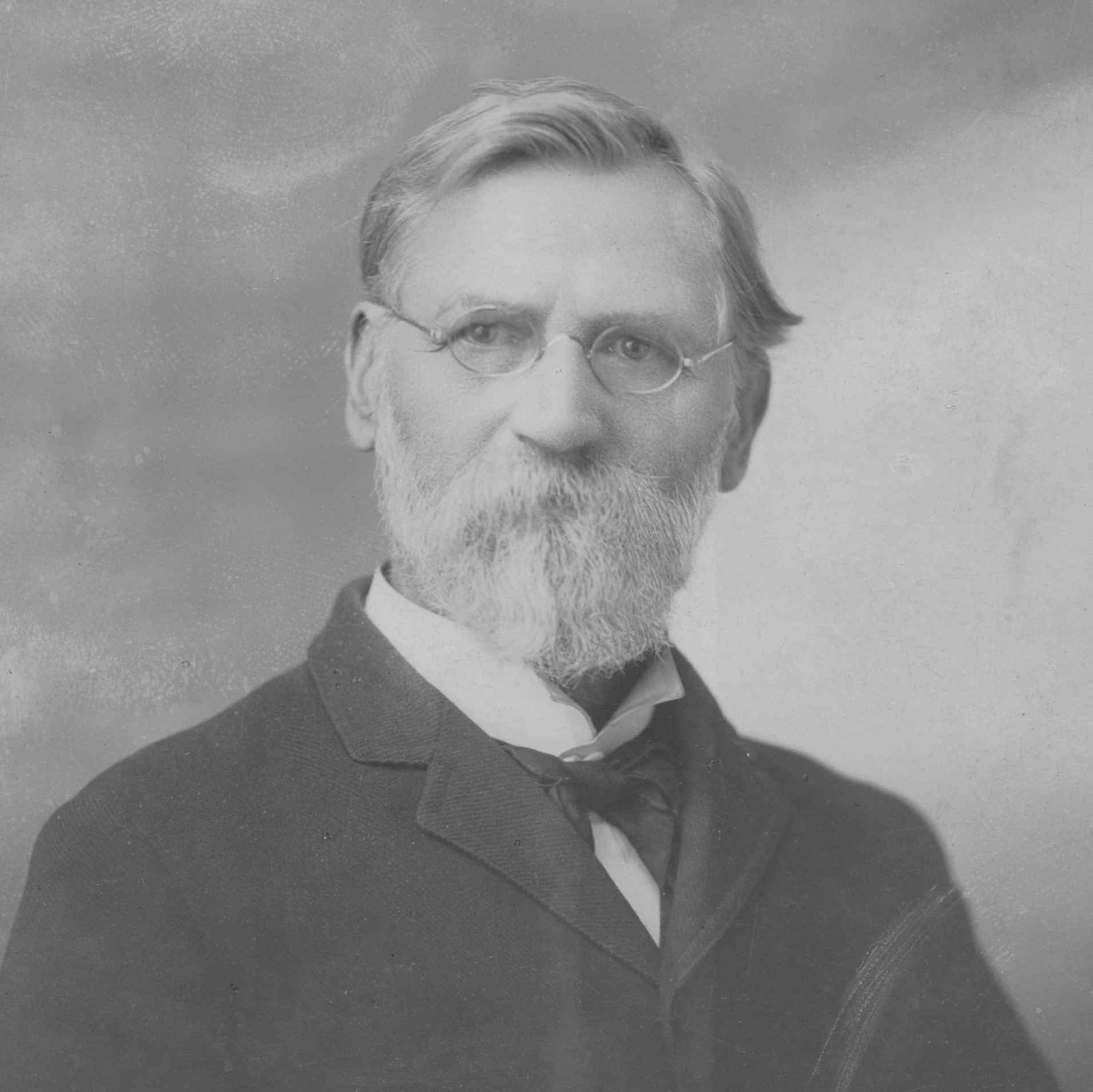 Danquart Anthon Weggeland (1827 - 1918) Profile